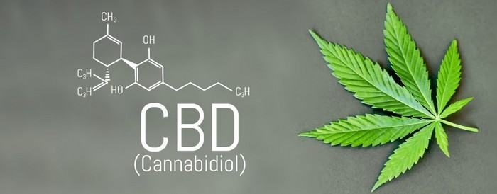 CBD cannabidiol